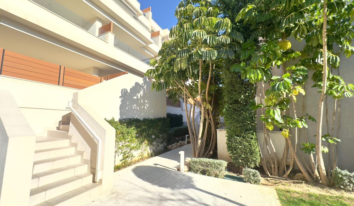 WhatsApp Image 2026-02-18 at 12.53.14 (11)